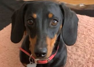 valerie